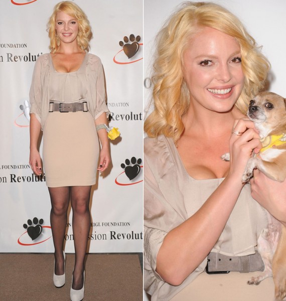 Katherine Heigl stili